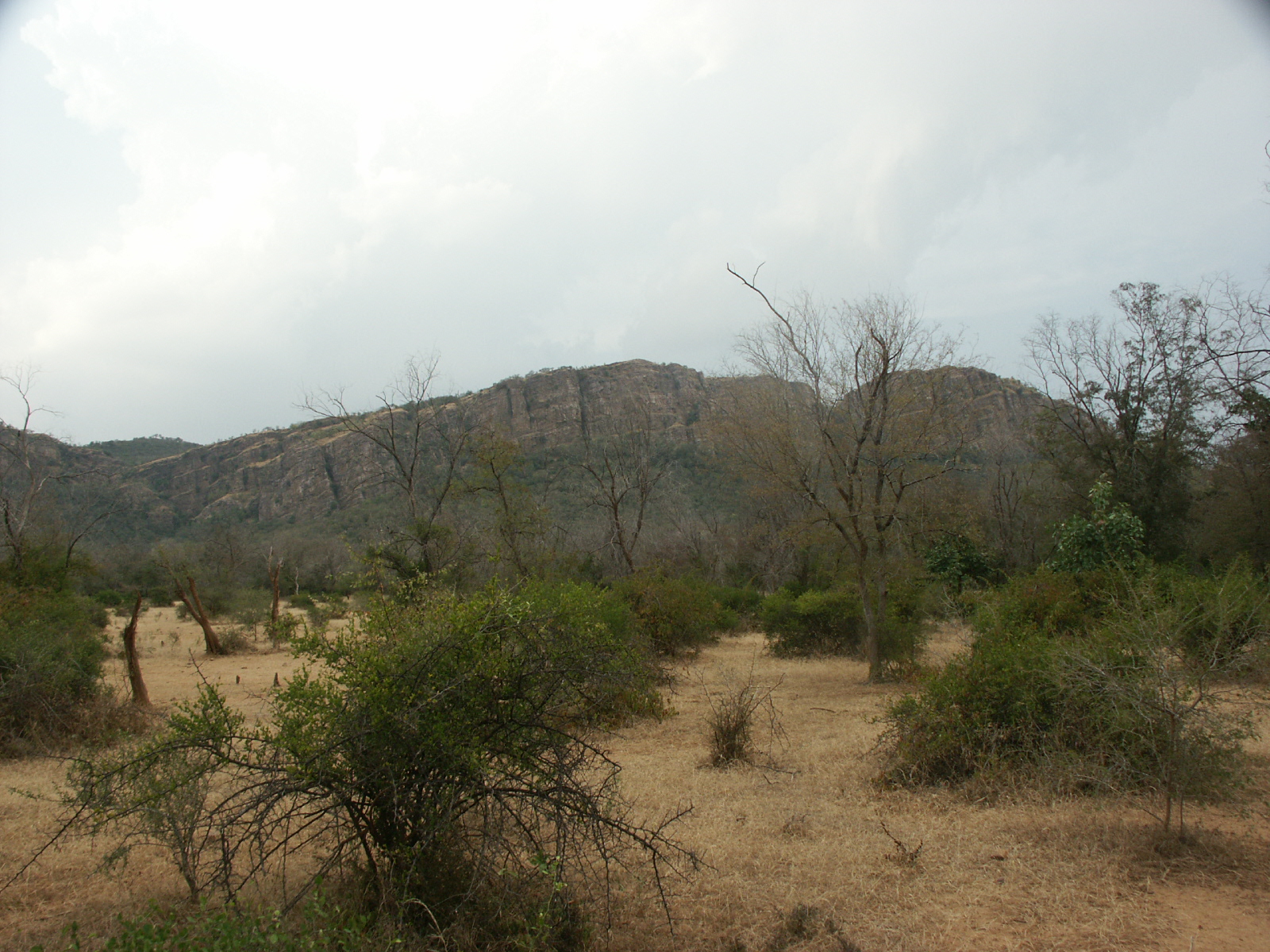 Picture Gallery of indian national parks ranthambhore climate